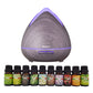 Purespa Diffuser Set With 10 Pack Diffuser Oils Humidifier Aromatherapy - Violet