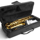 E Flat Alto Saxophone Brass Body Student KAS102