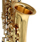 E Flat Alto Saxophone Brass Body Student KAS102