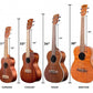 23" Concert Ukulele Guitar 12 Fret Spruce 4 String EQ UK23ACEQ