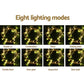 Jingle Jollys 100M 500 LED Christmas String Lights Warm White